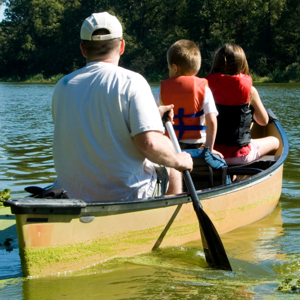 the-ultimate-guide-to-family-friendly-summer-activities-and-attractions
